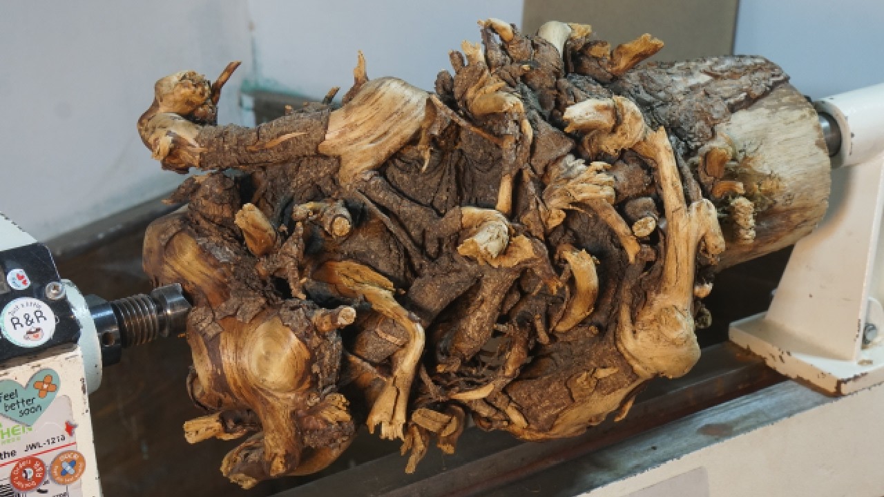 Never Done or Seen Befor!! 9,500 Pistachios Inside a Tree Root? #woodturning