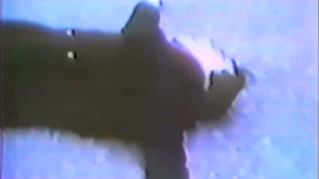 P-MODEL 偉大なる頭脳[1983 LIVE]