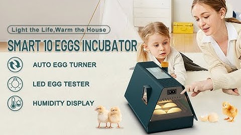 WONEGG Digital House 10 Eggs Incubator