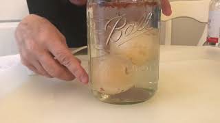 Science with Miss Karen-Ghost Eggs