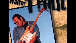 Walter Trout-Obstacles In My Way chords