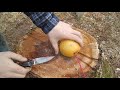 Exploding Orange And Grapefruit Exploding Orange And Grapefruit