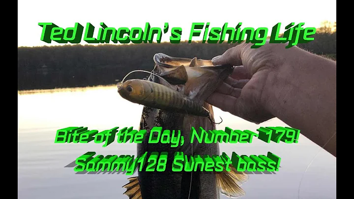#BOTD 170! Luckycraft Sammy 128 sunset bass!