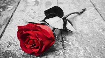 Photoshop CS5 : How to create Color Splash Effect