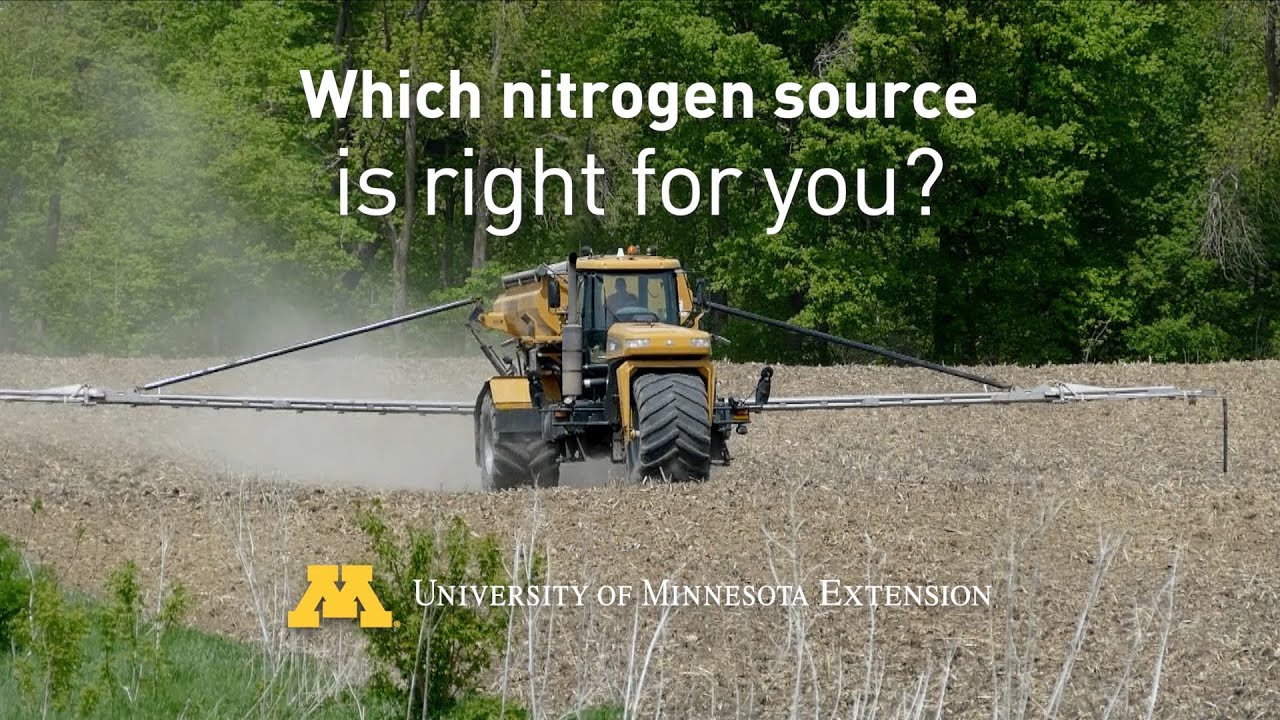 Which nitrogen source is right for you?