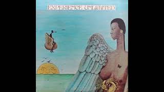 新品LP FREE YOURSELF EXPERIENCE UNLIMITED Free Yourself | Experience Unlimited | Black Fire