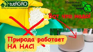 картинка: НАУЧНАЯ ПЯТНИЦА. Как из ничего сделать удобрение! Наши незаменимые помощники - АЗОТФИКСАТОРЫ.