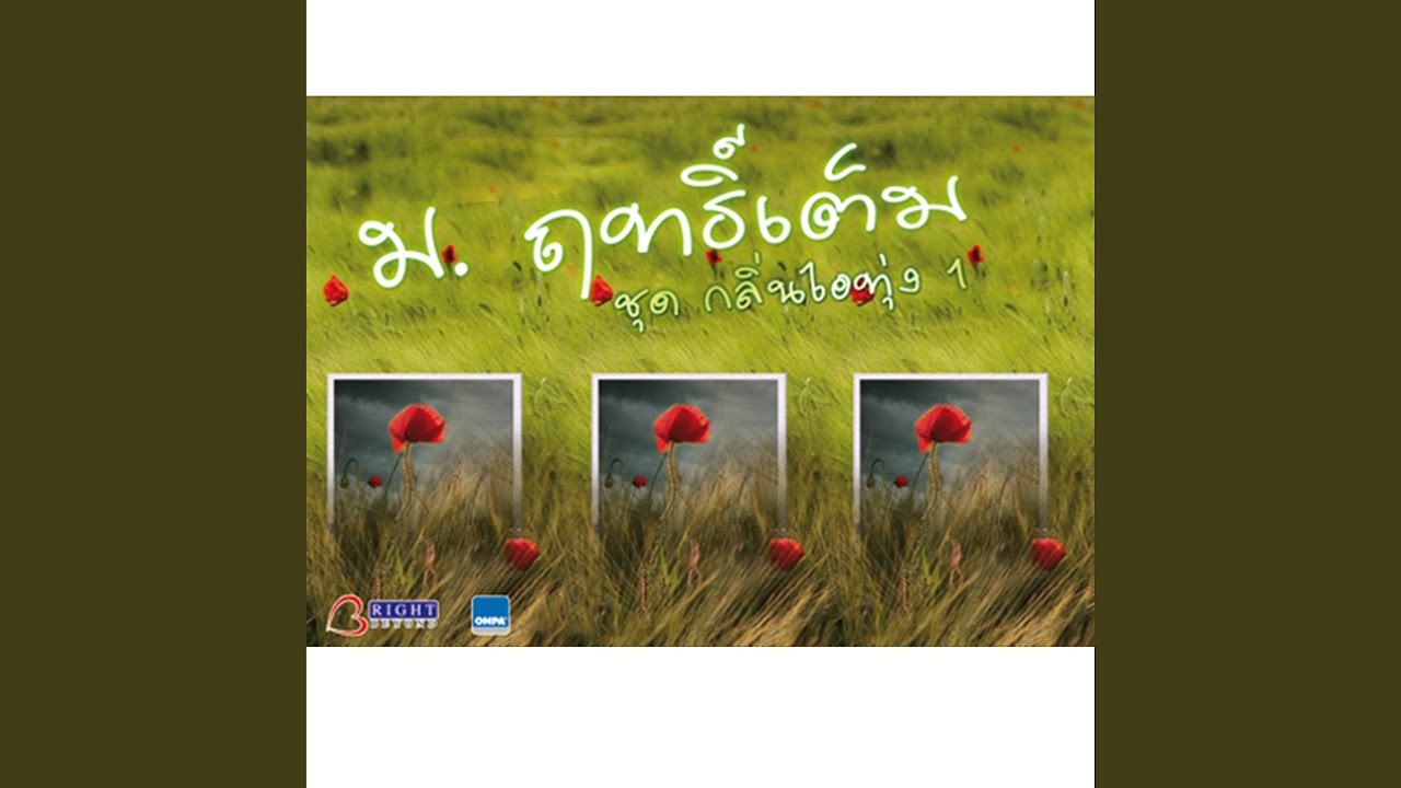 ปกเพลง สาวผักไห่ — M. RITTEM