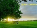 Dj brs sunshine