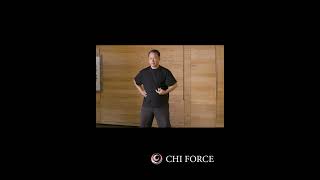 Chen Tai Chi Qigong Silk Reeling By Master Ren Guangyi