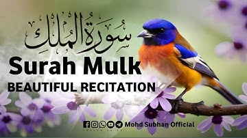 Surah Al-Mulk full || By Abdul-wali-al-arkani | With Arabic Text (HD) |سورة الملك|