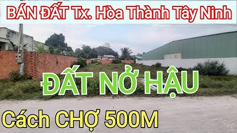 BÁN ĐẤT Cách CHỢ 500m - Tx. Hòa Thành Thuận Tiện Kinh Doanh Buôn Bán | Điền Thổ Tây Ninh