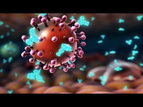Video image: HIV and flu -- the vaccine strategy - Seth Berkley