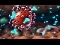 HIV and flu -- the vaccine strategy - Seth Berkley