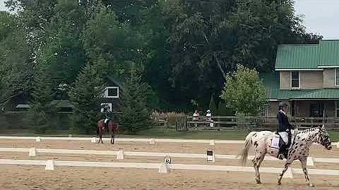 Rebecca Holcomb Dressage Test