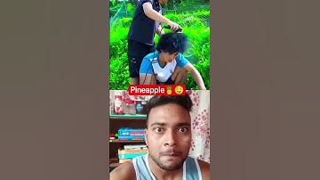 Give me chili pineapp? #shorts #tiktok #foryou #fyp #food #langlieu