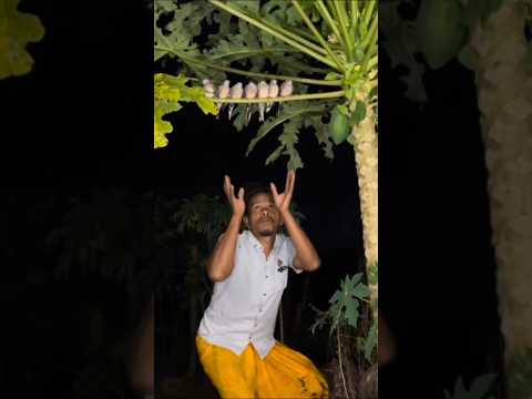 يقولون عصفور في اليد خير من ١٠ على الشجرة لكن هذا كسر القاعدة اكسبلور