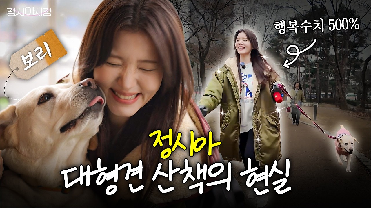 정시아 인생 첫 대형견 산책 in 석촌호수🐶 대형견 견주님들 모이세요! (+대형견 산책의 현실)