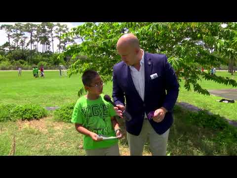 Village Green Environmental Studies School Student Garden