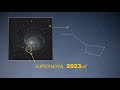 New supernova 2023ixf in m101 pinwheel galaxy near the big dipper
