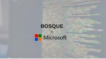 Microsoft programming language Bosque