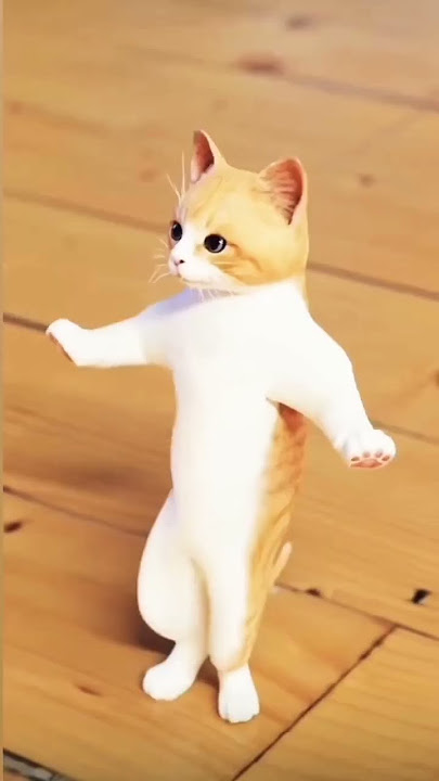 Patli kamariya mor hai hai #cat #reels #viral #shorts #video  #Patli #kamriya #comedy #chetanmonga