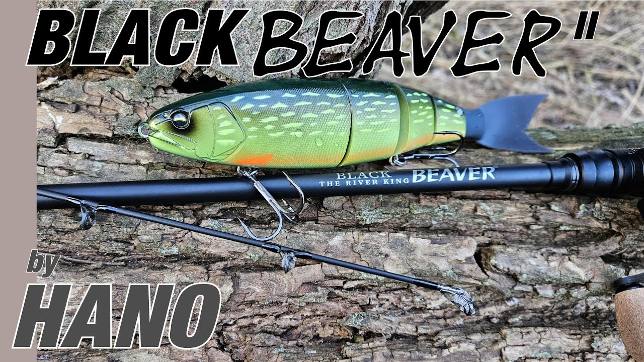 Hano BLACK BEAVER  Baitcaster_Big Bait raushauen mit Stil!