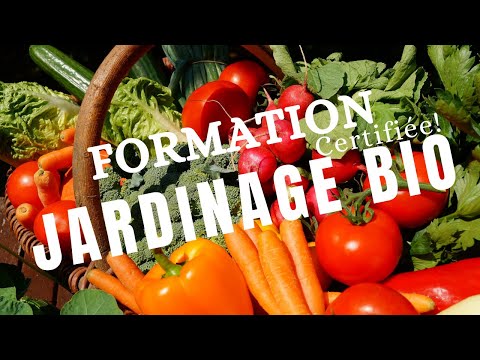 Formation Jardinage Bio / Jardinage Biologique
