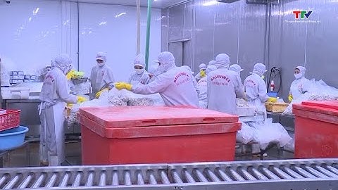 Chế biến 170 000 tấn hải sản 1 năm