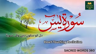 Surah Yaseen / Ya-Sin (يس) by Yousaf Nooh, #Quran, #sacredwords, #talawatquran, #QuranRecitation,