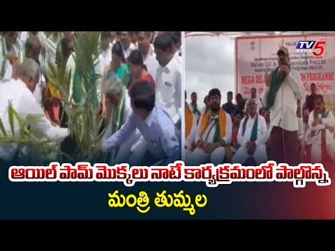 Minister Thummala Nageswara Rao Sensational Comments | Rangareddy Dist | TV5 News - TV5NEWS