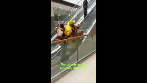 People using an Escalator for the First Time
