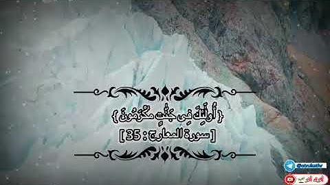 تلاوة تقشعر لها الابدان للقارئ حمزة بوديب 🌸سورة المعارج ✨أترك أثر
