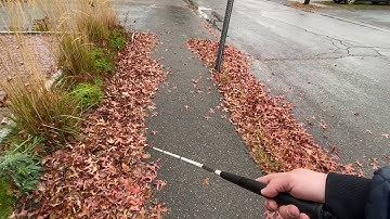 How it works: Staying in-step and in-rhythm: Orientation and Mobility Key Skills