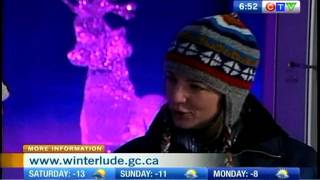 Winterlude - Confederation Park