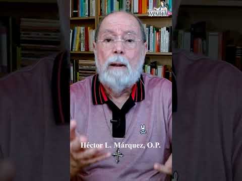 Por Qué Invocamos A María Como Rosa Mística En Las Letanías