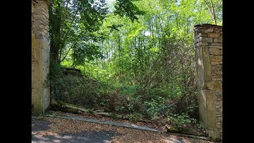 Mutable Instruments + Behringer/ARP 2500 (n° 44)