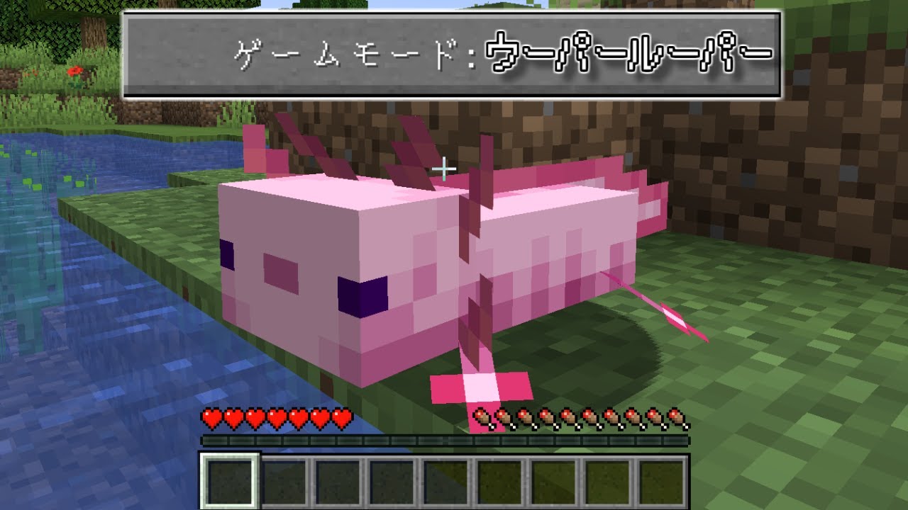 マイクラ1 17 新生物 ウーパールーパー ヒカリイカ追加 赤髪のとも 的youtube视频效果分析报告 Noxinfluencer