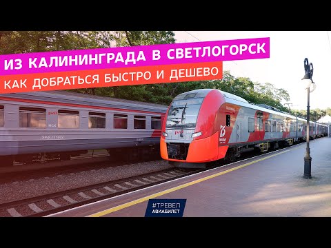 Как добраться из Калининграда в Светлогорск быстро и дешево
