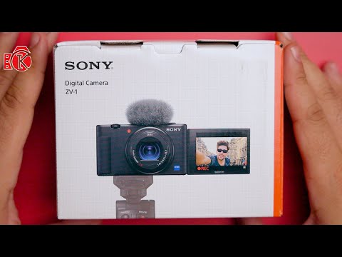 فيديو: كاميرا الفيديو من سوني (46 صورة): نظرة عامة على سلسلة كاميرات Handycam الاحترافية ، وكاميرات رقمية صغيرة بيضاء وسوداء للتصوير وأنواع أخرى ، وإرشادات للاستخدام