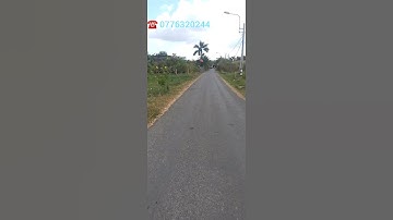 14m x 72m đất vườn 1000m2 đường nhựa lớn mỹ lộc cần giuộc shr |BĐS Cần Giuộc Long An #Shorts