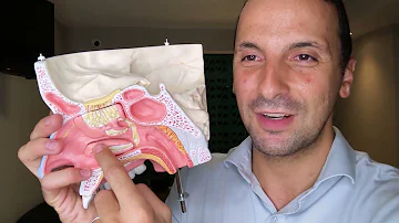 Porque meu nariz fica entupido o tempo todo?