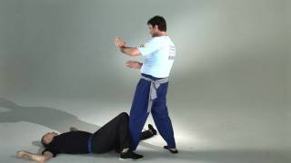 Wing Chun's Biu Jee Applications (HD) screenshot 3