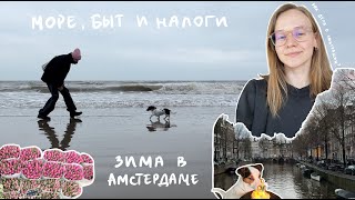 53. Жизнь в Амстердаме: море, налоги, быт и зима | Karolina K