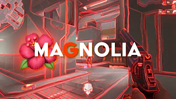 MAGNOLIA - Valorant Edit