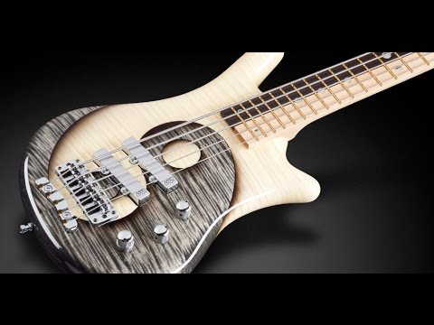 Warwick yin yang bass Clearance