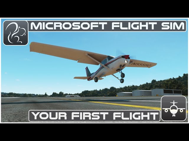 Microsoft Flight Simulator 2020 beginner guide eBook by Alfredo