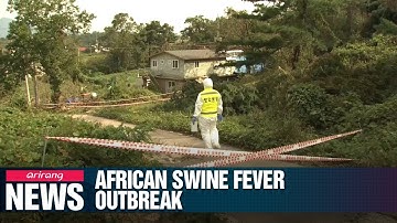 S. Korea confirms two more cases of African swine fever at pig farms in Paju