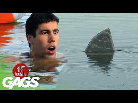 Shark Attack Prank