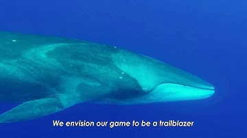 Fung Institute, Master of Engineering Capstone Project Pitch for Virtual Reality for Science Educati